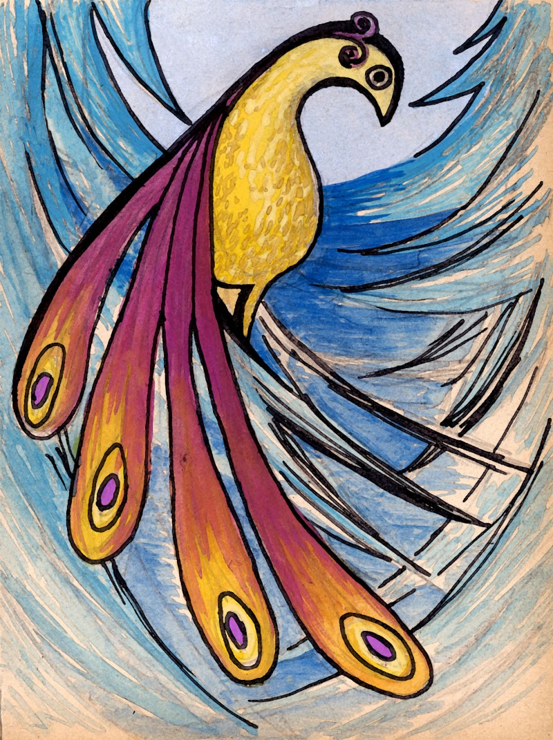 stylized peacock illustration