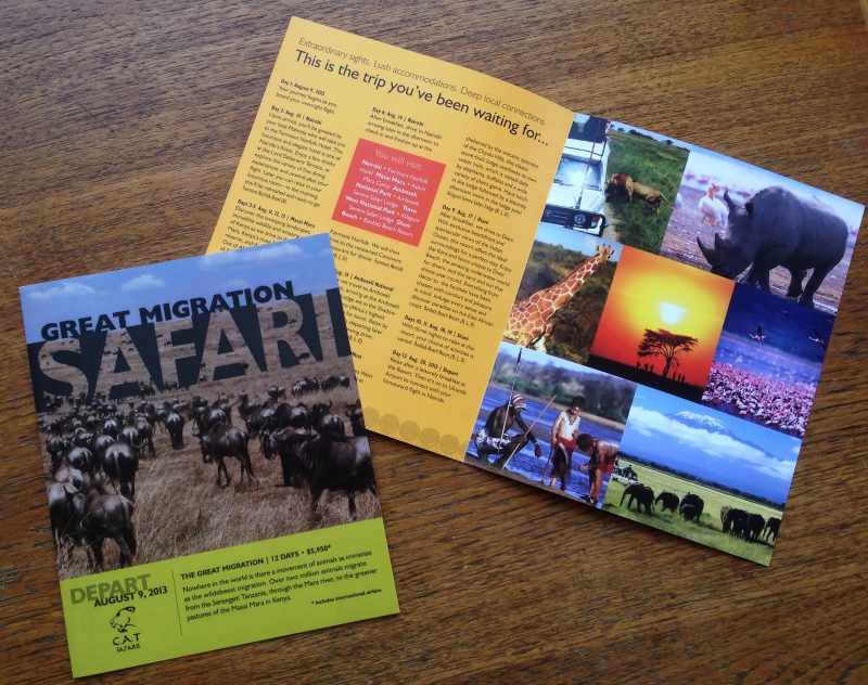 CAT Safaris Brochure Design