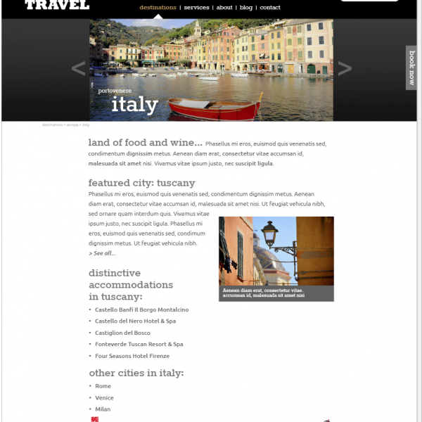 Ron Phillips Travel | Website Design- Country Page