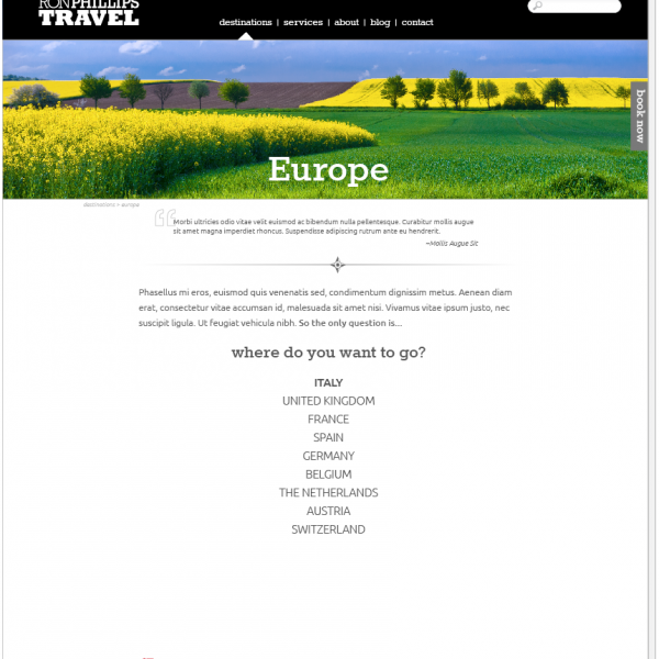 Ron Phillips Travel | Website Design