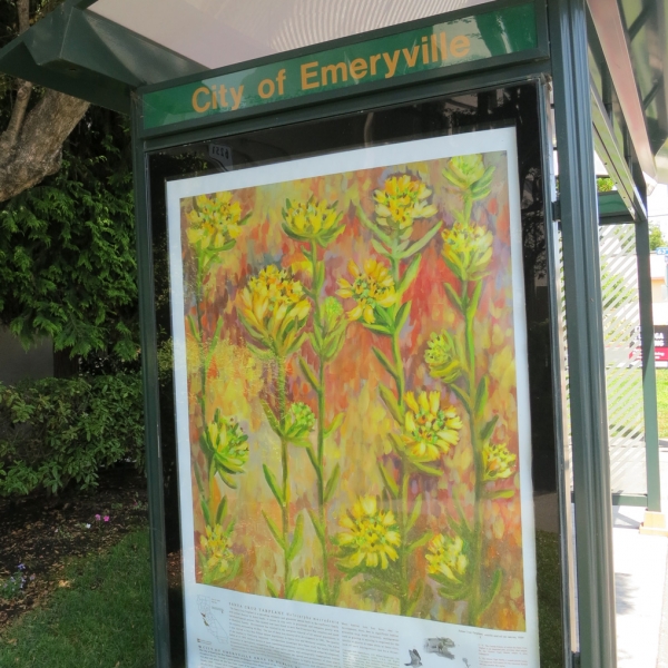 Emeryville Public Art Commission | Santa Cruz Tar Plant
