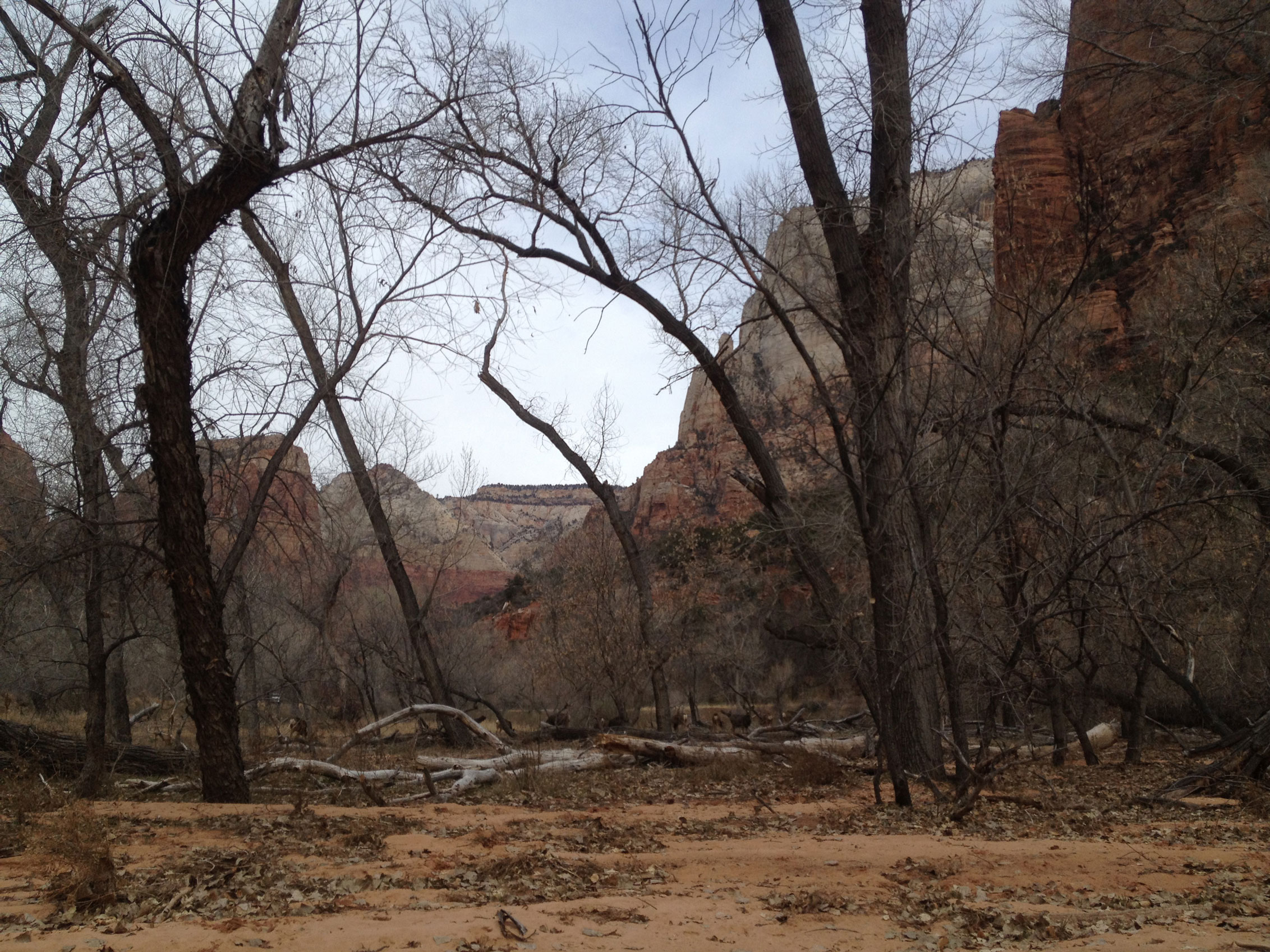 Zion, Utah: The Desert in Winter