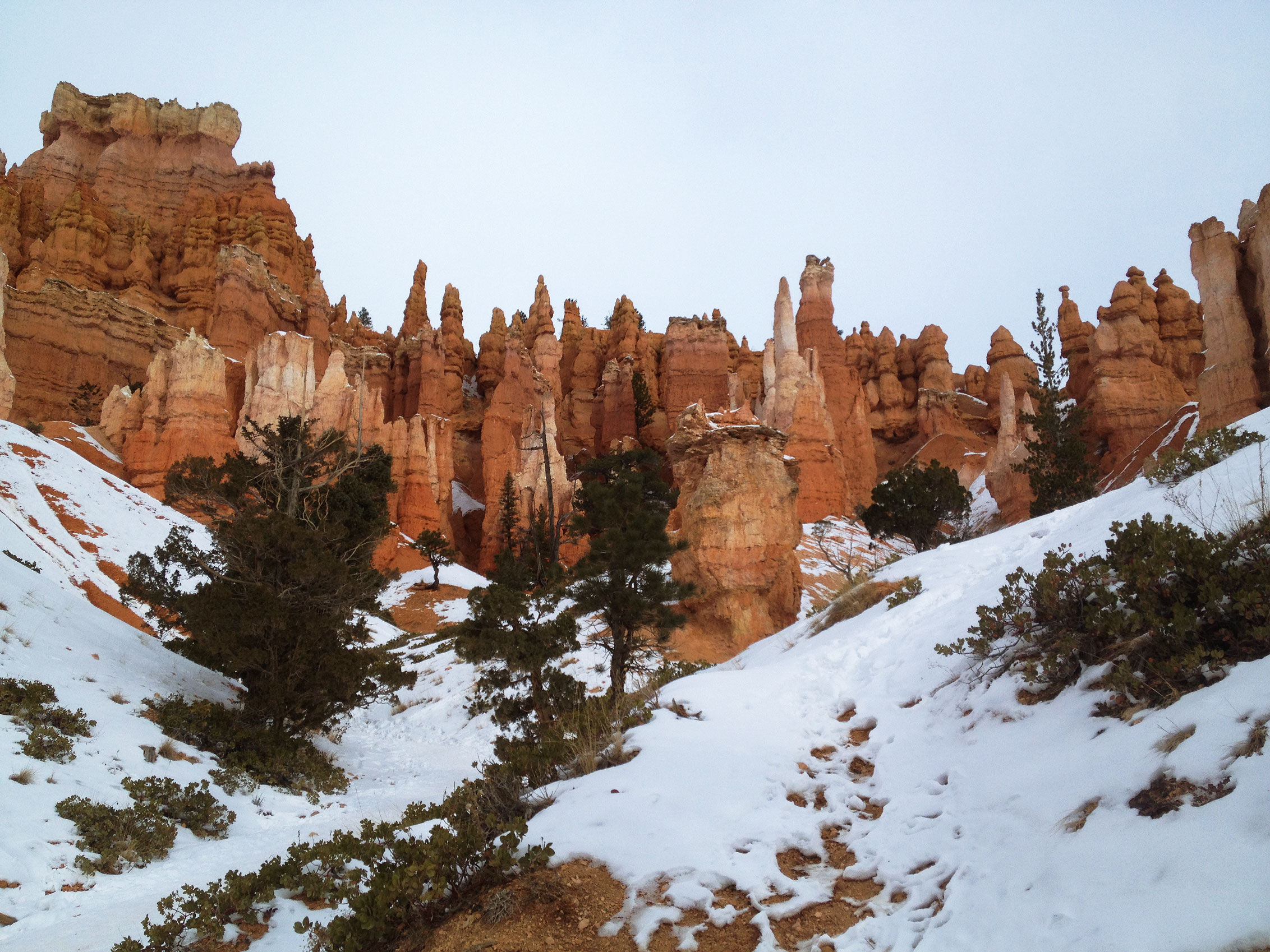 Hoodoos in Bryce Canyon